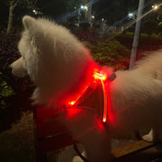 ハーネス 胴輪 単品 ペット用品 ペットグッズ 犬 猫 イヌ ネコ 光る 胸当て 小型犬 中型犬 USB充電式 カラフル レインボーカラー サイズ調節可 バックル ロック付き 反射材 ラインストーン 着脱簡単 シンプル カジュアル 夜間 防犯対策 持ち手付き お出かけ お散歩 赤 緑 ピンク 青