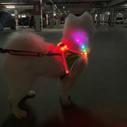 ハーネス 胴輪 単品 ペット用品 ペットグッズ 犬 猫 イヌ ネコ 光る 胸当て 小型犬 中型犬 USB充電式 カラフル レインボーカラー サイズ調節可 バックル ロック付き 反射材 ラインストーン 着脱簡単 シンプル カジュアル 夜間 防犯対策 持ち手付き お出かけ お散歩 赤 緑 ピンク 青