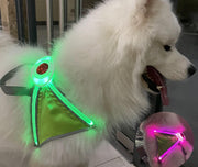 ハーネス 胴輪 単品 ペット用品 ペットグッズ 犬 猫 イヌ ネコ 光る 胸当て 小型犬 中型犬 USB充電式 カラフル レインボーカラー サイズ調節可 バックル ロック付き 反射材 ラインストーン 着脱簡単 シンプル カジュアル 夜間 防犯対策 持ち手付き お出かけ お散歩 赤 緑 ピンク 青
