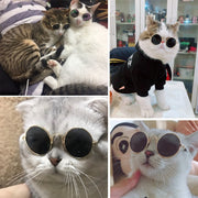 ペット用サングラス アクセサリー カラーレンズ カラバリ豊富 おしゃれ かわいい かっこいい 丸 ラウンド イヌ 犬 ネコ 猫 ペットグッズ おでかけ 撮影 小物 小道具 写真 イベント