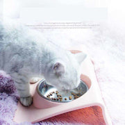 ペット用フードボウル ペット用食器 食器ダイセット 2皿 猫用 犬用 ペット用品 えさ皿 水入れ エサ置き 食器固定 傾斜