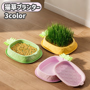 猫草プランター 猫草ポット 猫草ボックス 水耕栽培 容器 ケースのみ 鉢 室内 屋内 シンプル おしゃれ ペット用品 ねこ ネコ 犬 いぬ イヌ