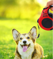 伸縮リード ペット用品 3ｍ 5ｍ ペットリード 犬用 散歩紐 ロック機能 カラバリ豊富 おしゃれ かわいい 牽引ロープ 中型犬 小型犬 散歩 おでかけ 伸縮自在