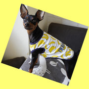 ペット服 タンクトップ ワンピース ドッグウエア キャットウエア 犬 猫 小型犬 メッシュ 薄手 透け感 プリント 柄 ペット用品 お散歩 お出掛け 春 夏 フリル キャミワンピ フルーツ バナナ パイン イチゴ ミルク