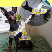 ペット服 タンクトップ ワンピース ドッグウエア キャットウエア 犬 猫 小型犬 メッシュ 薄手 透け感 プリント 柄 ペット用品 お散歩 お出掛け 春 夏 フリル キャミワンピ フルーツ バナナ パイン イチゴ ミルク