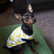 ペット服 タンクトップ ワンピース ドッグウエア キャットウエア 犬 猫 小型犬 メッシュ 薄手 透け感 プリント 柄 ペット用品 お散歩 お出掛け 春 夏 フリル キャミワンピ フルーツ バナナ パイン イチゴ ミルク