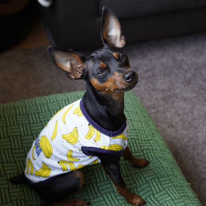 ペット服 タンクトップ ワンピース ドッグウエア キャットウエア 犬 商品画像4
