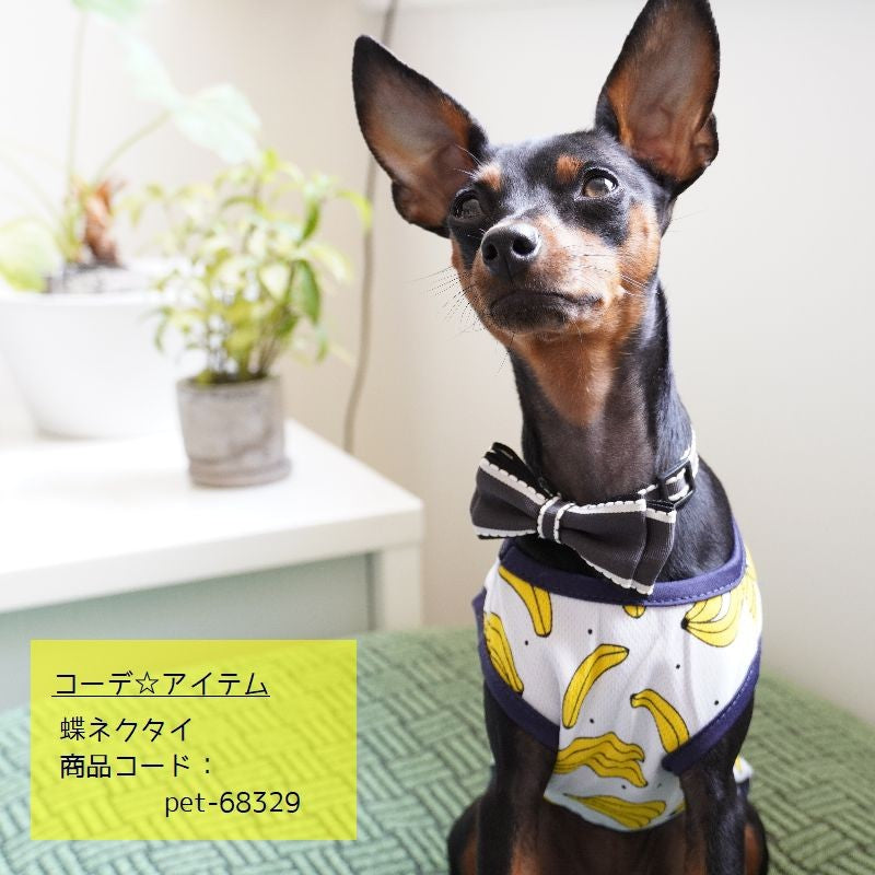 ペット服 タンクトップ ワンピース ドッグウエア キャットウエア 犬 商品画像5