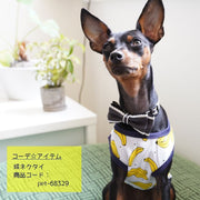 ペット服 タンクトップ ワンピース ドッグウエア キャットウエア 犬 猫 小型犬 メッシュ 薄手 透け感 プリント 柄 ペット用品 お散歩 お出掛け 春 夏 フリル キャミワンピ フルーツ バナナ パイン イチゴ ミルク