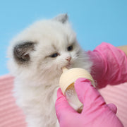 ペット用哺乳瓶 哺乳器 50ml 子猫 子犬 小動物 メモリ付き ミルクフィーダー ミルクボトル 授乳 哺乳 パピー ねこ ネコ キャット イヌ いぬ ドッグ