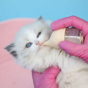 ペット用哺乳瓶 哺乳器 50ml 子猫 子犬 小動物 メモリ付き ミルクフィーダー ミルクボトル 授乳 哺乳 パピー ねこ ネコ キャット イヌ いぬ ドッグ