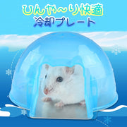 小動物ハウス ペット用品 ハムスターハウス お家 ベット 寝床 隠れ家 暑さ対策 熱中症対策 ひんやり クール プレート クリアカラー