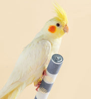 止まり木 爪とぎパーチ 爪とぎ 爪磨き 足場 ペット用品 小鳥 オウム インコ 洗える ケージ用 簡単設置 スタンドロッド ケージスタンド