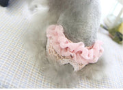 ペット用 犬用 サニタリーパンツ マナーパンツ 生理用パンツ オムツカバー パンツタイプ ウエスト紐 ドット柄 イチゴ いちご ヒート 月経 粗相防止 ズレ防止 ドッグウェア S M L XL 超小型犬 小型犬 可愛い かわいい 雌犬 メス 女の子 イヌ用 いぬ用 おむつカバー ひも ヒモ