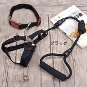 ハーネス リード 首輪 カラー 3点セット ペット用 犬 猫 超小型 中型 ドッグウェア お散歩グッズ 胴輪 胸当て リーシュ 散歩紐 牽引紐 引き縄 ワンタッチバックル 着脱簡単 持ち手クッション ソフト フィット フック ホルダー サイズ調節可能 シンプル かわいい おしゃれ いぬ イヌ DOG ねこ ネコ キャット お出かけ 外出 外遊び 公園 アウトドア 春 夏 秋 冬