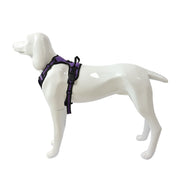 ペット用ハーネス 胴輪 イヌ用ハーネス 犬用ハーネス 小型犬 中型犬 ペットグッズ ペット用品 お散歩用品 お散歩グッズ プラバックル Dカン レッド ブラック ブルー かわいい キュート クール かっこいい おしゃれ