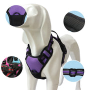 ペット用ハーネス 胴輪 イヌ用ハーネス 犬用ハーネス 小型犬 中型犬 ペットグッズ ペット用品 お散歩用品 お散歩グッズ プラバックル Dカン レッド ブラック ブルー かわいい キュート クール かっこいい おしゃれ