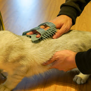 ペット用ブラシ ベルト付き ラバーブラシ 犬用 猫用 ペット用品 面ファスナー マジック テープ ドッグ キャット グルーミング お手入れ お風呂 抜け毛対策 ペットグッズ