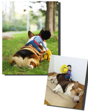 犬用 ペット用 洋服 カウボーイ ロデオ 乗馬 コスプレ コスチューム 面白い ハロウィン イベント ドッグウエア 衣装 仮装 変装 変身 ユニーク 超小型犬 小型犬 犬 猫 ペット用品