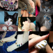ネイルキャップ 20個入り ネイルセット ペット用 ネイル キラキラ ラメ 犬 猫 ネイルケア ソフトネイル ソフトネイルキャップ 爪 爪とぎ けが防止 傷 引っかき 壁 床 保護 ペット用ネイル