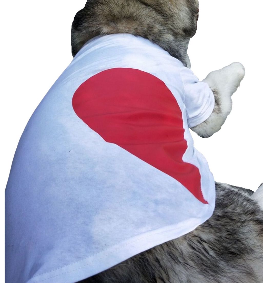 犬猫兼用 ペット用 洋服 Tシャツ 半袖 カットソー ハート 飼い主とお揃いファッション可能 犬の服 猫の服 ペアルック ペア服 可愛い かわいい 超小型犬 小型犬 中型犬 大型犬 犬用 イヌ用 いぬ用 猫用 ネコ用 ねこ用 S M L XL 2XL 3XL 4XL 5XL 6XL ドッグウェア キャットウェア ドッグウエア キャットウエア
