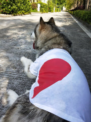 犬猫兼用 ペット用 洋服 Tシャツ 半袖 カットソー ハート 飼い主とお揃いファッション可能 犬の服 猫の服 ペアルック ペア服 可愛い かわいい 超小型犬 小型犬 中型犬 大型犬 犬用 イヌ用 いぬ用 猫用 ネコ用 ねこ用 S M L XL 2XL 3XL 4XL 5XL 6XL ドッグウェア キャットウェア ドッグウエア キャットウエア