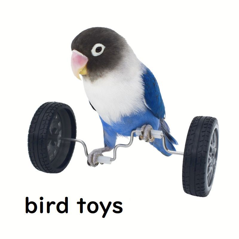 鳥用おもちゃ ペット トリ インコ 小鳥 車輪 運動 遊び道具 一人遊び ストレス発散 楽しい シンプル おしゃれ 定番 かわいい プレゼント 贈り物 誕生日