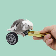 鳥用おもちゃ ペット トリ インコ 小鳥 車輪 運動 遊び道具 一人遊び ストレス発散 楽しい シンプル おしゃれ 定番 かわいい プレゼント 贈り物 誕生日