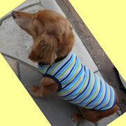 ペット服 タンクトップ ボーダー ドッグウエア キャットウエア ノースリーブ 袖なし 犬 猫 お散歩 お出掛け 春 夏 秋 かわいい カジュアル ストライプ ペット用品