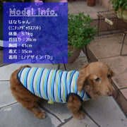 ペット服 タンクトップ ボーダー ドッグウエア キャットウエア ノースリーブ 袖なし 犬 猫 お散歩 お出掛け 春 夏 秋 かわいい カジュアル ストライプ ペット用品