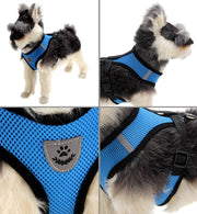 ハーネスリード 2点セット イヌ 小型犬 中型犬 ペット用品 ペットグッズ プラバックル メッシュ ロゴ ピンク ブルー ブラック シンプル かわいい キュート お散歩