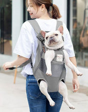キャリーバッグ おんぶ紐タイプ  抱っこひも リュック ペットキャリー ペット用 小型犬 犬 イヌ 猫 ネコ 便利 シンプル 無地 ボーダー メッシュ 通気性 トリコロール かわいい おしゃれ ペットグッズ ペット用品 キャンバス地 フック ファスナー ゴム入り 長さ調節 ドッグ キャット レッド 赤 グリーン 緑 ブルー グレー 青 おでかけ おさんぽ お散歩 旅行