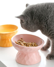 フードボウル Sサイズ 猫用食器 犬用食器 エサ入れ 餌入れ 水入れ 陶器 傾斜付き 傾き でこぼこ おしゃれ シンプル 200ml ペット用品