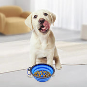 犬用食器 ペット用食器 早食い防止 フードボウル ウォーターボウル 犬用 猫用 折りたたみ カラビナ付き 持ち歩き シリコン エサ入れ 餌入れ 容器 丸飲み防止 早食い 丸飲み 予防 ペットグッズ 犬 猫 食事 ごはん わんちゃん ねこちゃん ペット用品