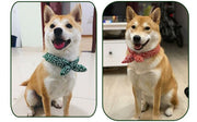 ペット用スカーフ バンダナ 犬用 猫用 唐草模様 リボン風 ゴム 簡単装着 首飾り ドッグウェア ペットウェア キャットウェア ペット用アクセサリー 可愛い おしゃれ 散歩 外出 お出掛け イヌ用 ネコ用
