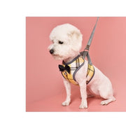 ハーネス リード ２点セット 犬用 猫用 小型犬 ペットウェア ドッグウェア ペット用品 メッシュ ベスト チェック リボン 蝶ネクタイ 鈴 お出かけ お散歩 かわいい おしゃれ