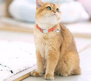 首輪 ネコ 猫 ねこ用 セーフティバックル ペット 調節可能 チョーカー 鈴付き シンプル かわいい おしゃれ