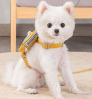ハーネス リード 2点セット 犬用 ペットグッズ 胴輪 散歩紐 牽引紐 平紐 ワンタッチバックル 無地 星 スター 英字 ロゴ リュック カバン付き 長さ調節可能 犬用品 犬グッズ 小型犬 中型犬 ドッグ イヌ ネコ 猫 おしゃれ おでかけ お散歩 外遊び アウトドア 公園 外出 S M ピンク ブルー 青 イエロー 黄 グレー 灰 DOG わんちゃん