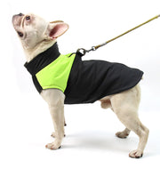 ドッグウェア ペットウェア 中綿入りベスト 犬用洋服 背中開き ファスナー シンプル おしゃれ バイカラー 防寒 暖かい お散歩 袖なし ポカポカ ジップアップ 小型犬 中型犬 Dカン付き スポーティー