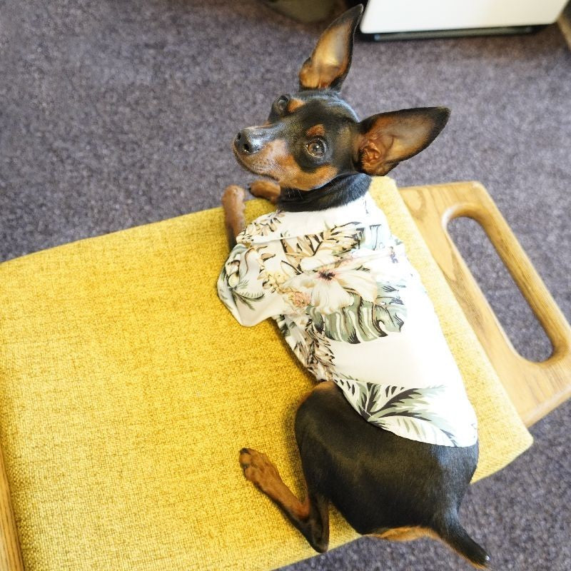 ペット服 アロハシャツ 犬 猫 ペットウエア 袖あり 商品画像2
