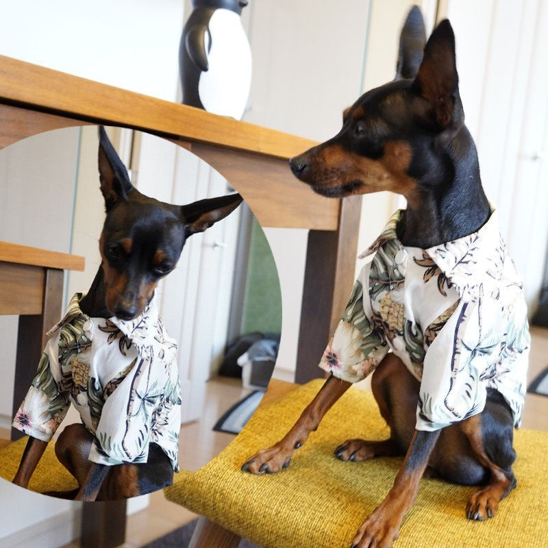 ペット服 アロハシャツ 犬 猫 ペットウエア 袖あり 商品画像4