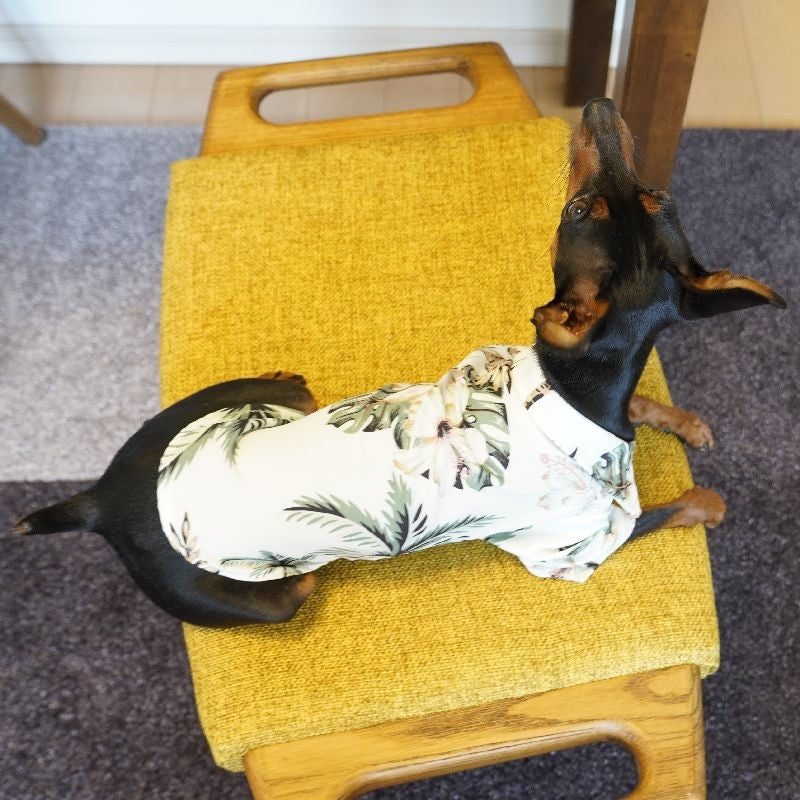 ペット服 アロハシャツ 犬 猫 ペットウエア 袖あり 商品画像5