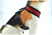 犬用ハーネス 単品 胴輪 ソフト メッシュ 通気性 ペット用品 お散歩用品 小型 中型 大型 サイズ調節可能 着脱簡単 簡単装着 フィット ワンタッチバックル アジャスター パイピング 無地 レッド ブルー ブラック ピンク シンプル カジュアル イヌ いぬ DOG ワンちゃん 猫 ねこ ネコ アウトドア 外出 公園 春 夏 秋 XS S M L XL