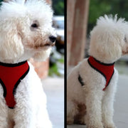 犬用ハーネス 単品 胴輪 ソフト メッシュ 通気性 ペット用品 お散歩用品 小型 中型 大型 サイズ調節可能 着脱簡単 簡単装着 フィット ワンタッチバックル アジャスター パイピング 無地 レッド ブルー ブラック ピンク シンプル カジュアル イヌ いぬ DOG ワンちゃん 猫 ねこ ネコ アウトドア 外出 公園 春 夏 秋 XS S M L XL