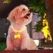 ペット用アクセサリー 首輪アクセサリー LEDライト 光る 犬 ドッグ ペット用品 散歩 夜 骨 ボーン ブルー レッド グリーン ピンク オレンジ レインボー