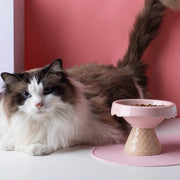 ペット用フードボウル ペット用食器 猫 ネコ 小型犬 イヌ 小動物用 ペット用品 ペットグッズ 脚付き アイスクリーム カジュアル ポップ 可愛い キュート おしゃれ