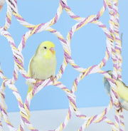 バードトイ 鳥の遊び場 ブランコ 玩具 おもちゃ オウム インコ 縄 ロープ リング 輪っか 吊り下げ 止まり木 ストレス解消