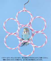 バードトイ 鳥の遊び場 ブランコ 玩具 おもちゃ オウム インコ 縄 ロープ リング 輪っか 吊り下げ 止まり木 ストレス解消