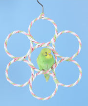 バードトイ 鳥の遊び場 ブランコ 玩具 おもちゃ オウム インコ 縄 ロープ リング 輪っか 吊り下げ 止まり木 ストレス解消
