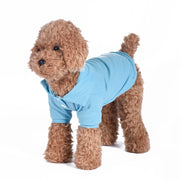 ペット服 ポロシャツ ドッグウエア キャットウエア 半袖 襟付 プルオーバー お散歩 お出掛け 犬 猫 無地 ブルー レッド オレンジ イエロー グリーン ピンク ペット用品 ペットグッズ